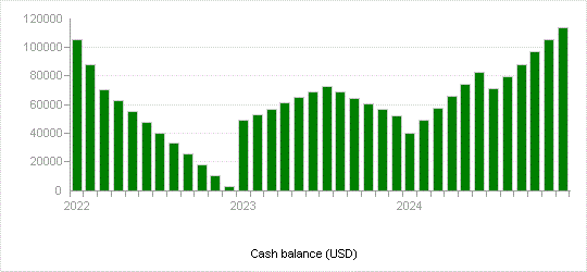 Cash balance (USD)