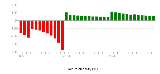 Return on equity (%)